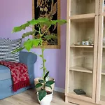 Farbenfrohe Apartamento *