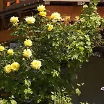 Farbenfrohe Apartamento Detmold