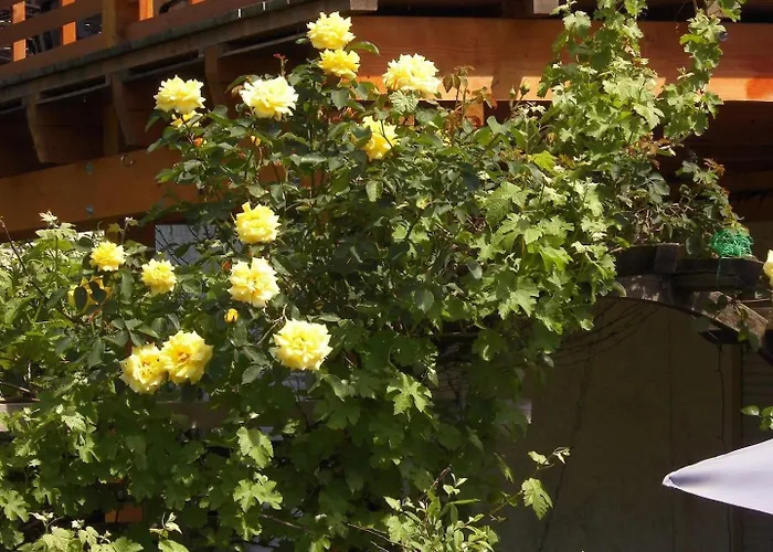 Farbenfrohe Appartement Detmold